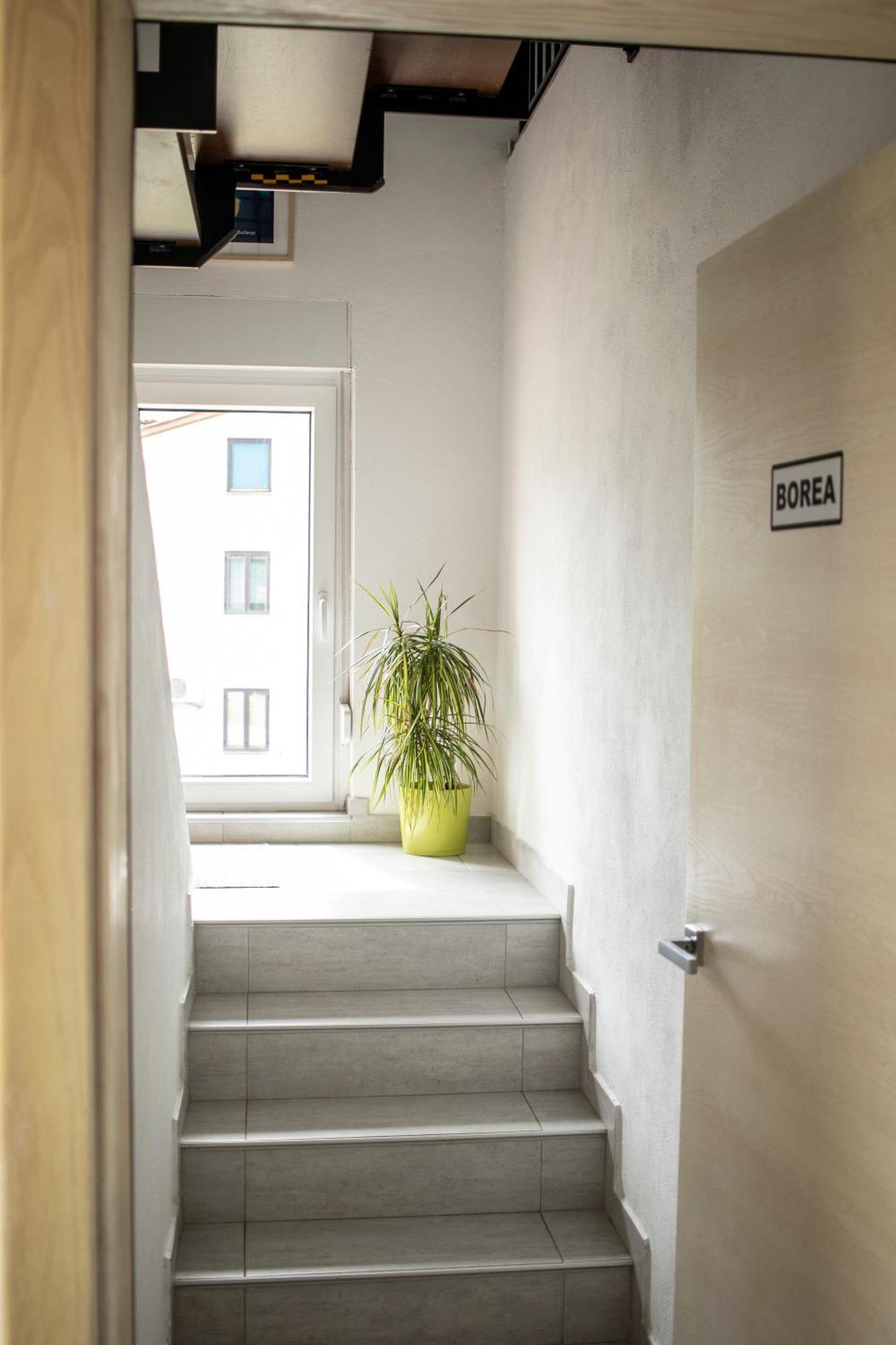 Borea Rooms - Sobe Budanje Vipava Luaran gambar